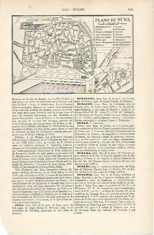 LAMINA ESPASA 22594: Plano de Susa Lugo