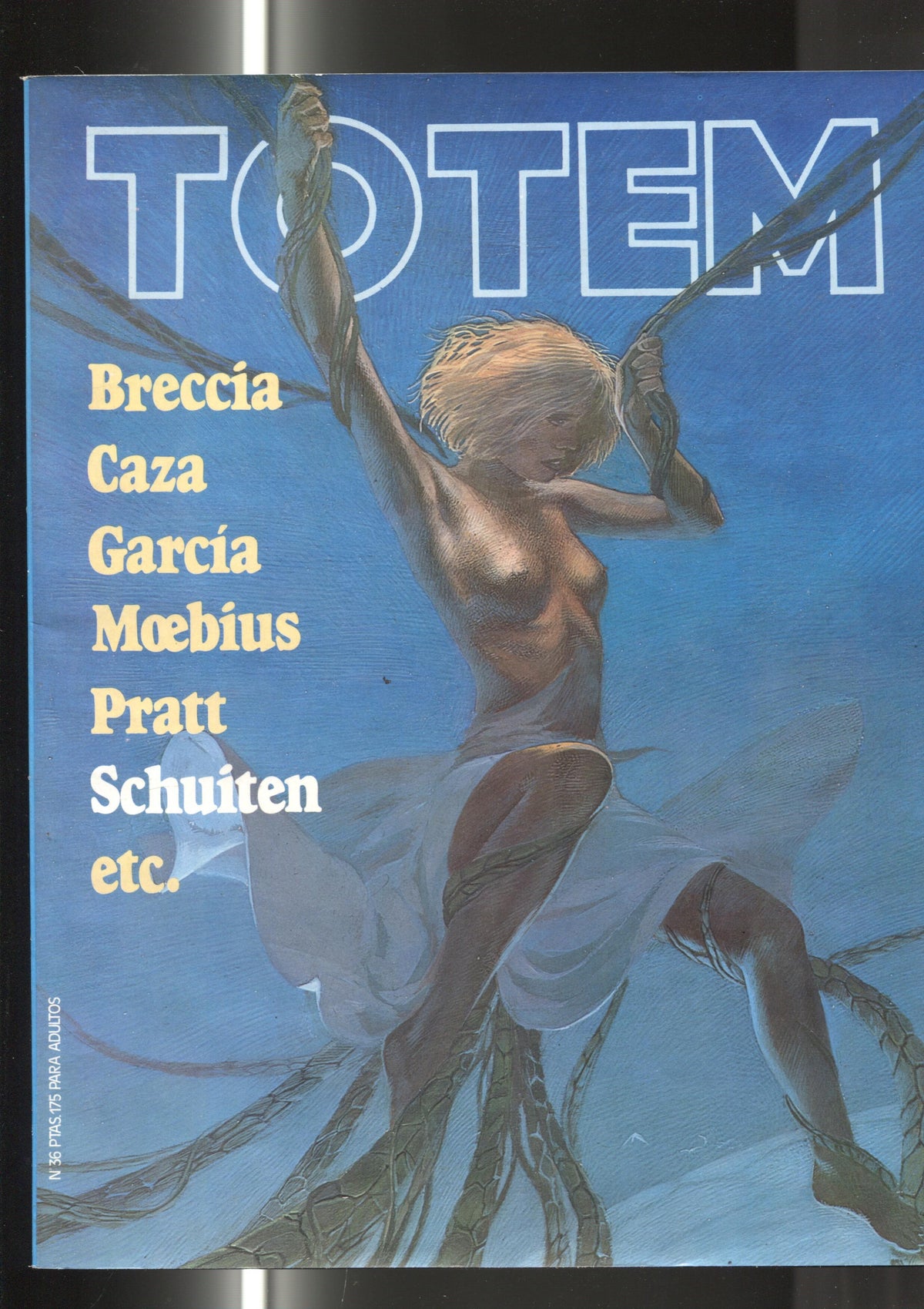 Totem revista numero 36: Curva peligrosa de Caza