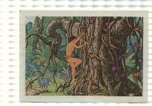 Cromo Tarzan de Editorial Fher numero 86
