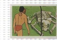 Cromo Tarzan de Editorial Fher numero 109