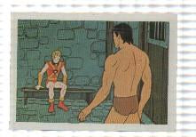 Cromo Tarzan de Editorial Fher numero 122
