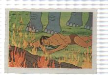 Cromo Tarzan de Editorial Fher numero 135