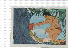 Cromo Tarzan de Editorial Fher numero 150