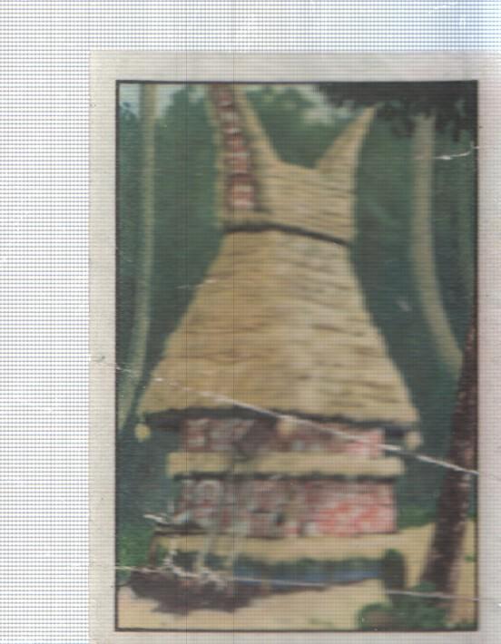 Cromo Nestle numerado 008