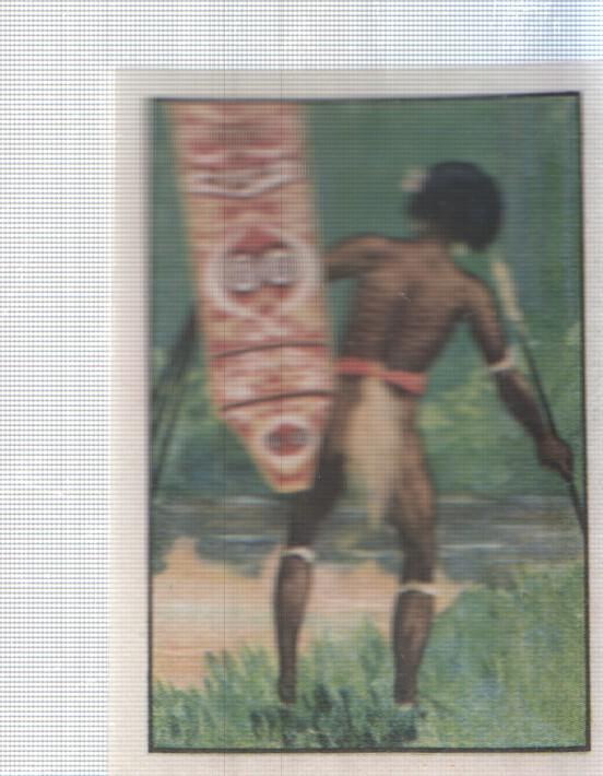 Cromo Nestle numerado 015: Indigena