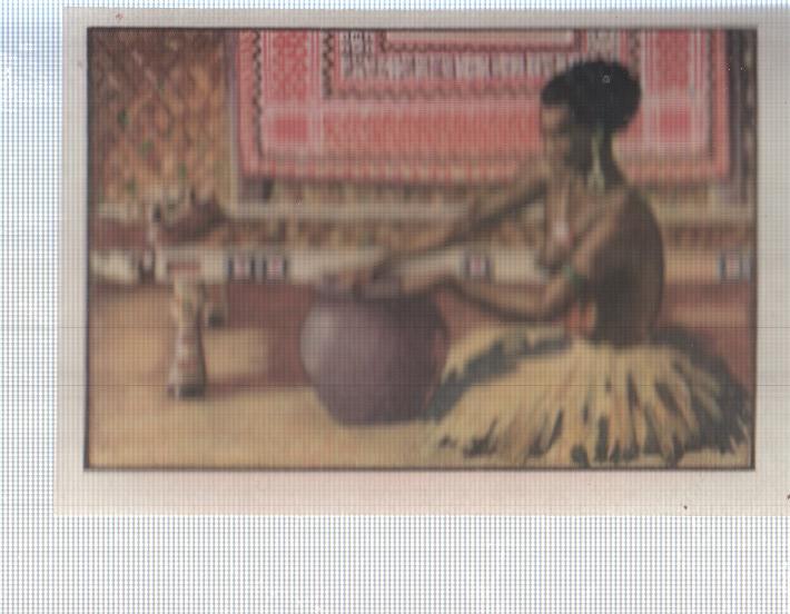 Cromo Nestle numerado 023: Indigena