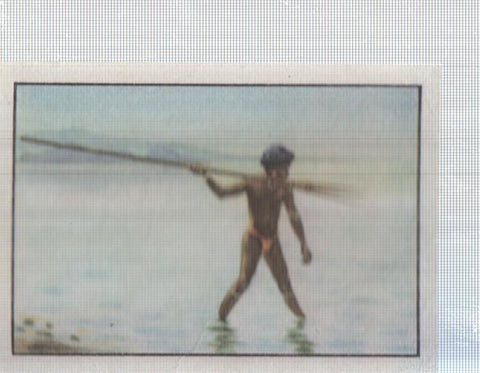 Cromo Nestle numerado 033: pesca indigena