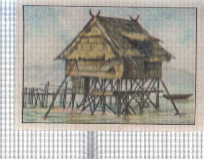 Cromo Nestle numerado 042: Vivienda acuatica