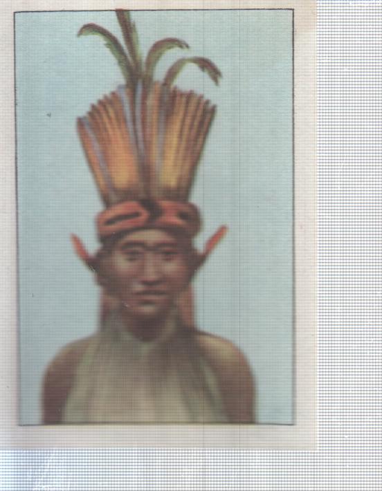 Cromo Nestle numerado 052: Indigena