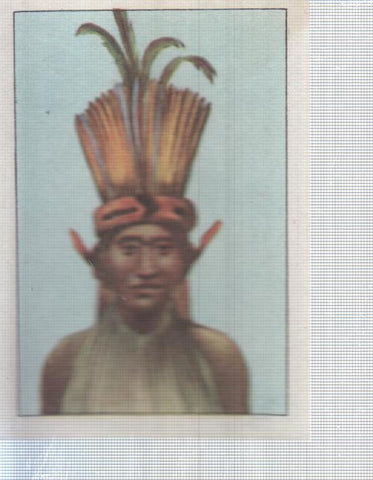Cromo Nestle numerado 052: Indigena