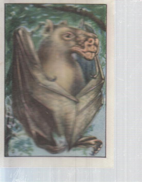 Cromo Nestle numerado 061: Ave nocturna