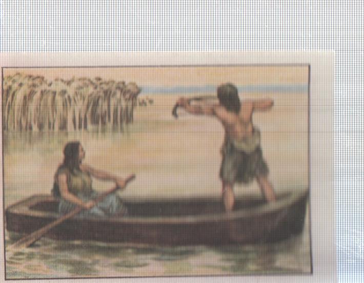 Cromo Nestle numerado 063: Indigenas cazando en laguna