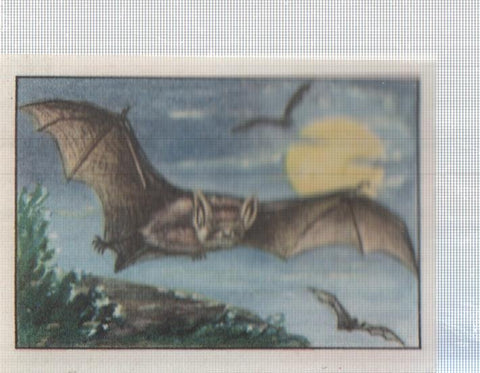 Cromo Nestle numerado 070: Ave nocturna