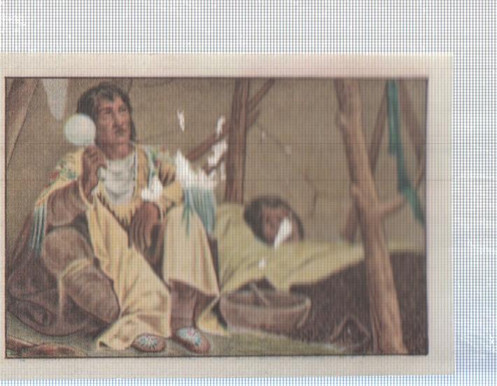 Cromo Nestle numerado 102: Indigena americano