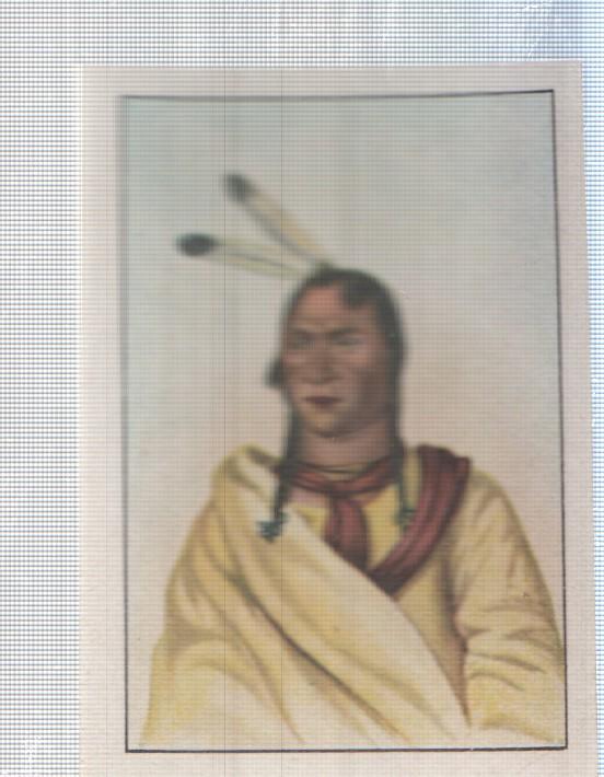 Cromo Nestle numerado 104: Indigena americano