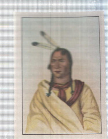 Cromo Nestle numerado 104: Indigena americano