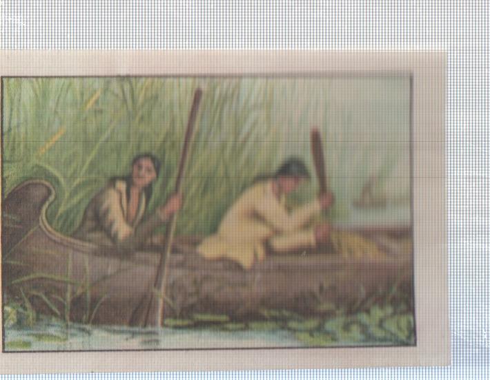 Cromo Nestle numerado 105: Indigena americano
