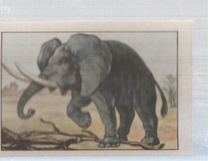 Cromo Nestle numerado 115: Elefante