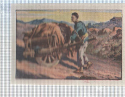 Cromo Nestle numerado 127: Indigena tibetano