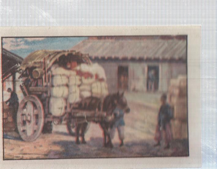 Cromo Nestle numerado 128: Indigena tibetano