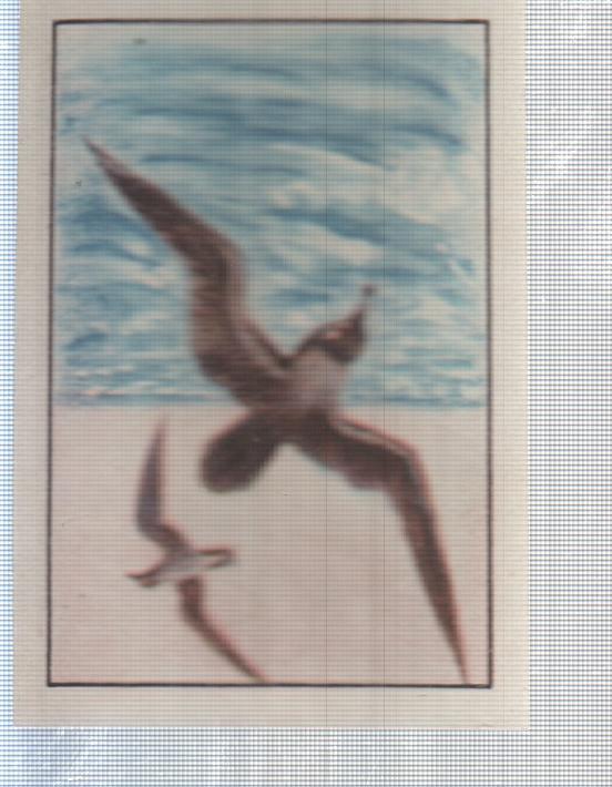 Cromo Nestle numerado 139: Aves