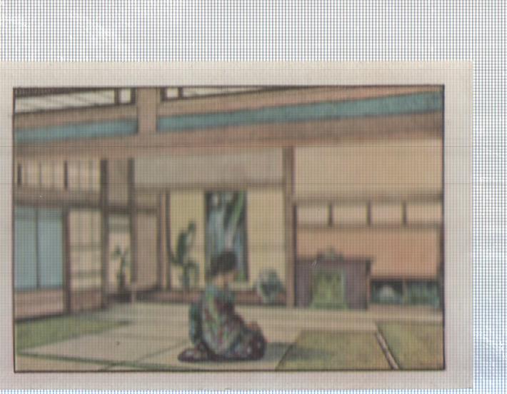 Cromo Nestle numerado 145: vivienda japonesa