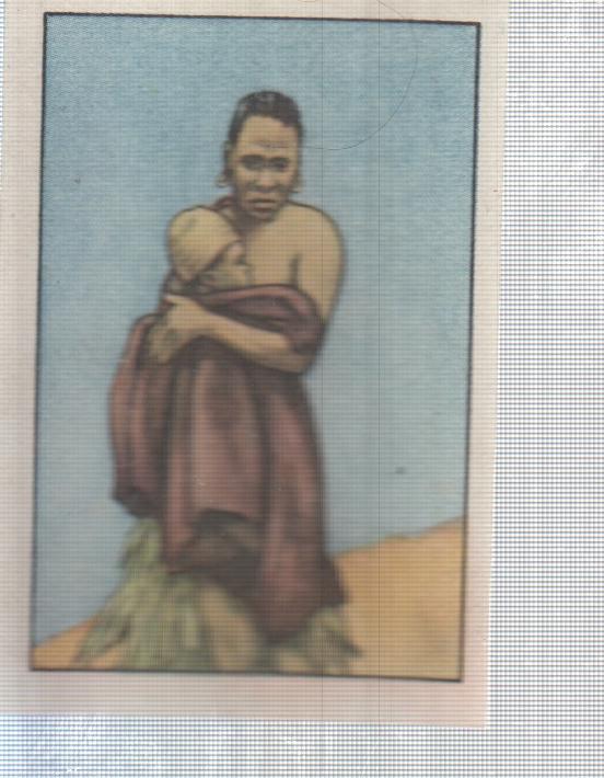 Cromo Nestle numerado 177: Indigenas