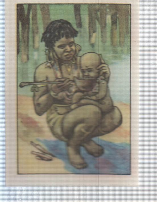 Cromo Nestle numerado 179: Indigenas