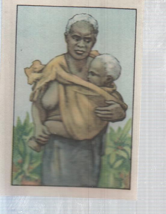 Cromo Nestle numerado 180: Indigenas