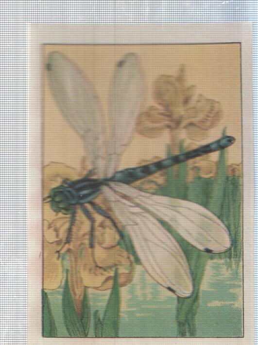 Cromo Nestle numerado 187: Libelula