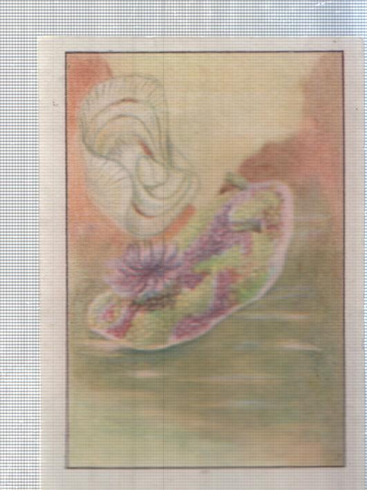 Cromo Nestle numerado 193: Flora marina