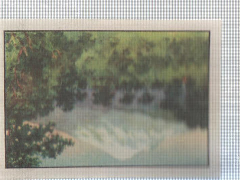 Cromo Nestle numerado 197: Naturaleza
