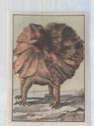 Cromo Nestle numerado 243: Fauna