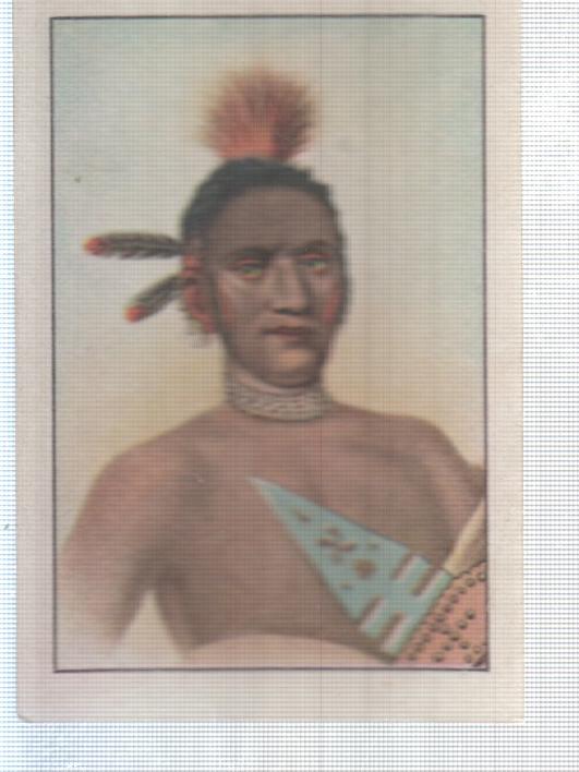 Cromo Nestle numerado 278: Indigena
