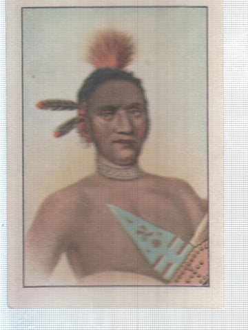 Cromo Nestle numerado 278: Indigena