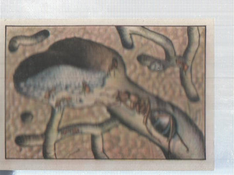 Cromo Nestle numerado 282: Ciencias