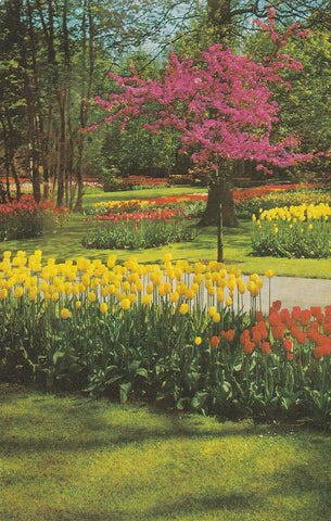 POSTAL B8019: HOLANDA: KEUKENHOF