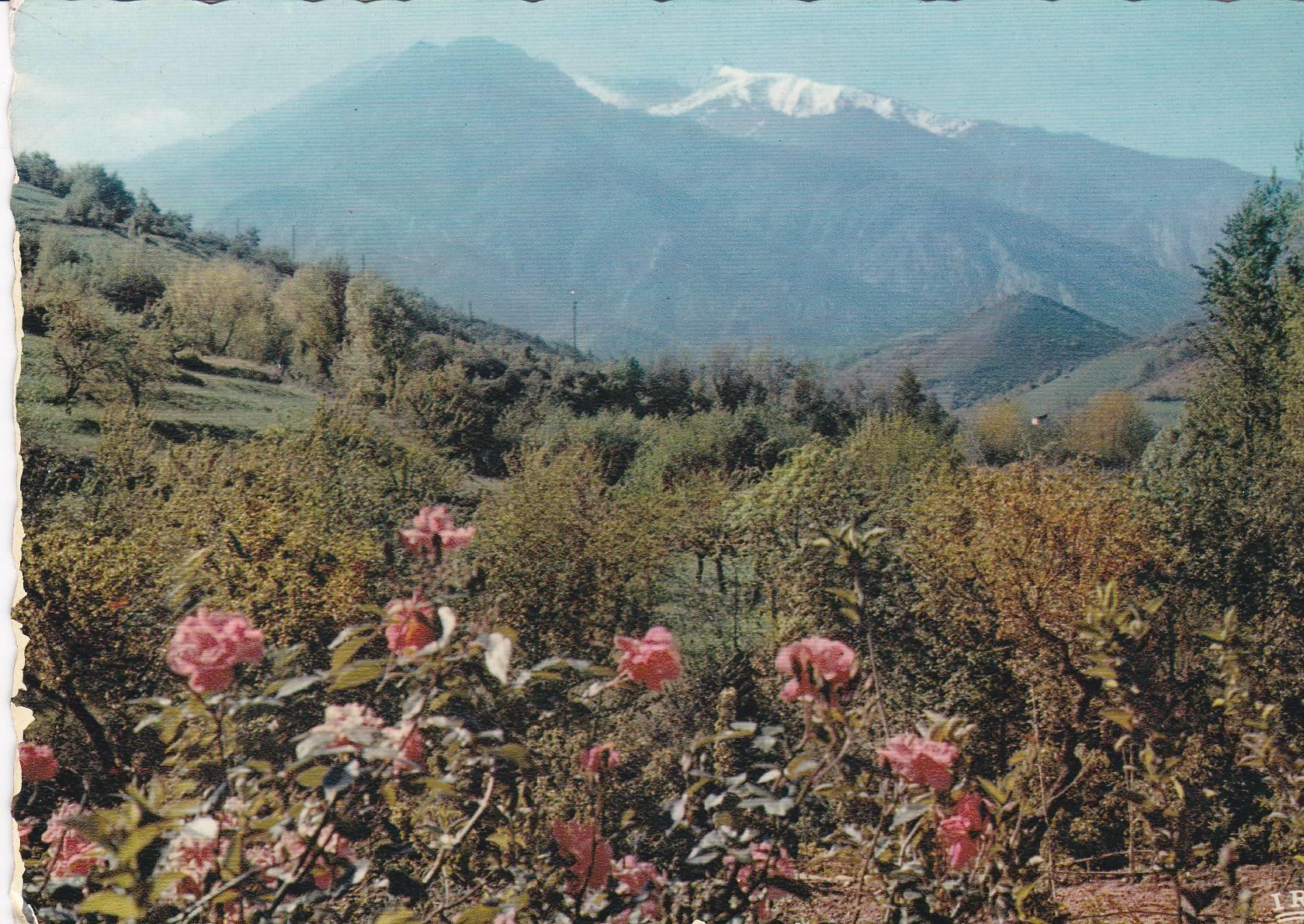 POSTAL B8054: LE ROUSSILLON: MASSIF DEL CANIGO