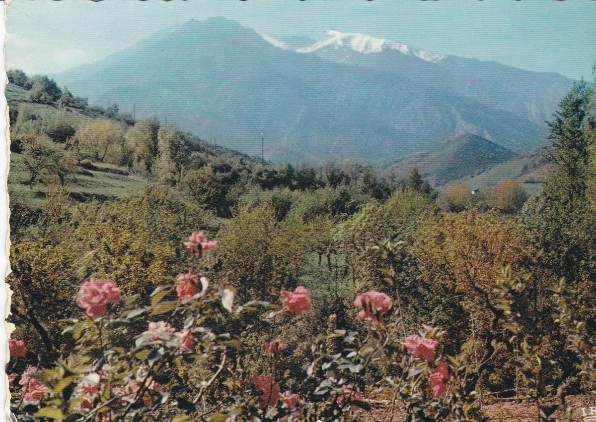 POSTAL B8054: LE ROUSSILLON: MASSIF DEL CANIGO