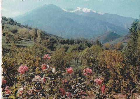 POSTAL B8054: LE ROUSSILLON: MASSIF DEL CANIGO