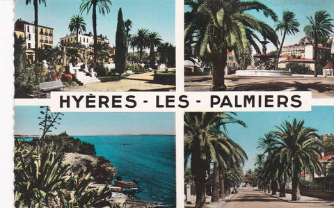 POSTAL B8104: HYERES LES PALMIERS