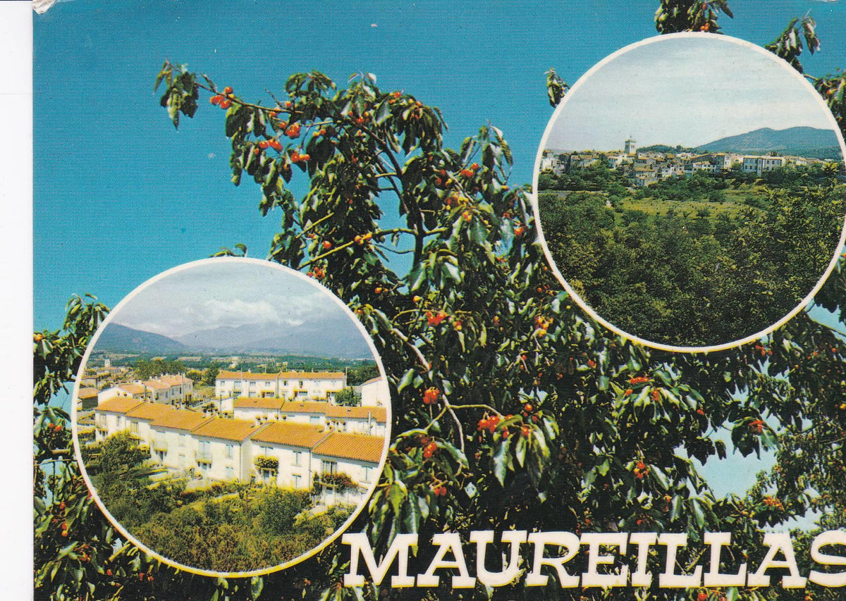 POSTAL B8107: MAUREILLAS: DIVERSOS ASPECTOS