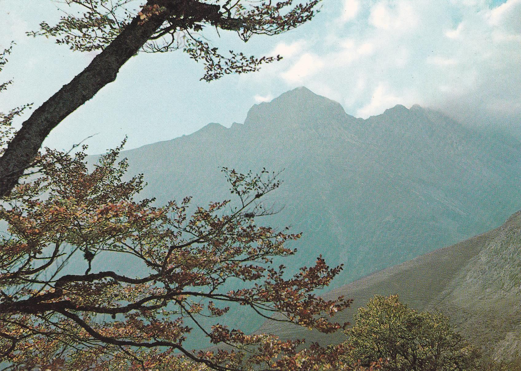 POSTAL B8217: PIRINEO NAVARRO: VALLE DEL RONCAL