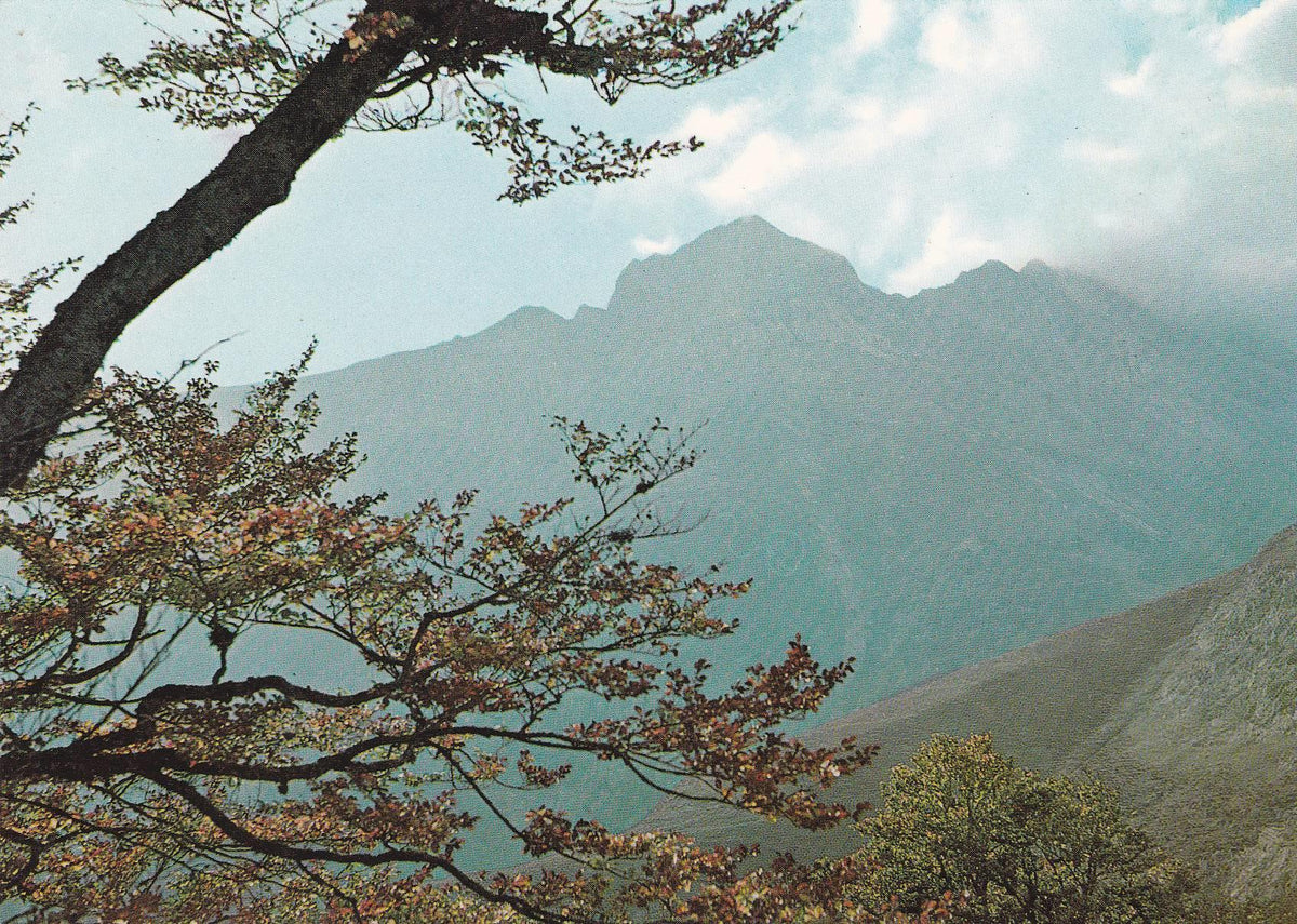POSTAL B8217: PIRINEO NAVARRO: VALLE DEL RONCAL