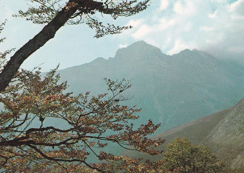 POSTAL B8217: PIRINEO NAVARRO: VALLE DEL RONCAL