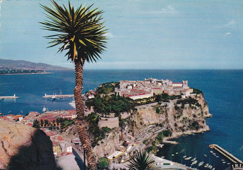 POSTAL B8277: PRINCIPADO DE MONACO: LE ROCHER