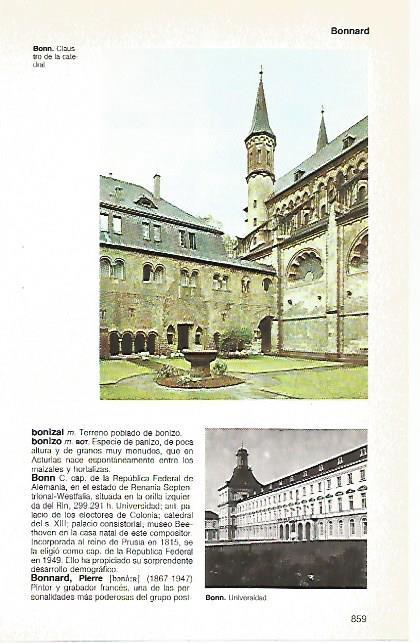 LAMINA 11168: Claustro de la catedral de Bonn