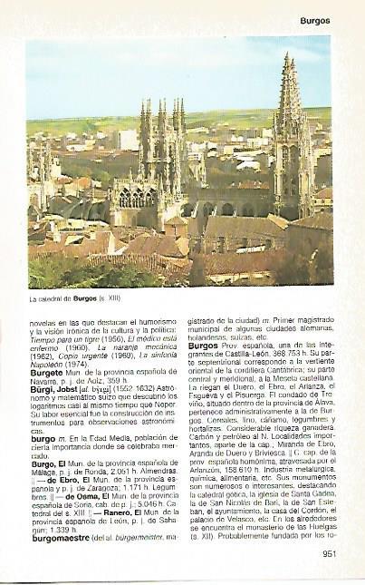 LAMINA 11184: Catedral de Burgos