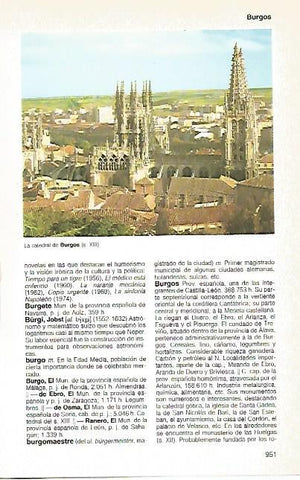 LAMINA 11184: Catedral de Burgos