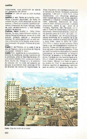 LAMINA 11189: Centro de Cadiz